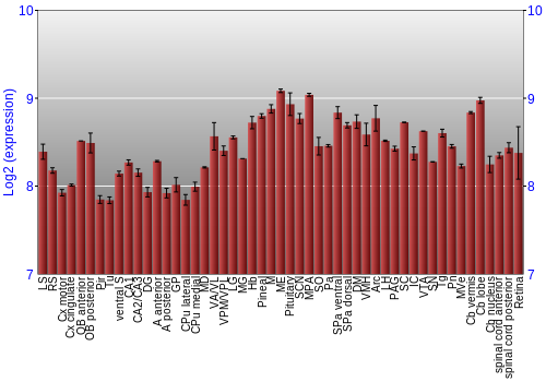 Expression graph