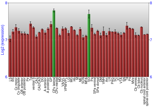 Multi-state expression graph