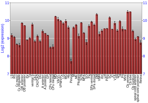 Expression graph