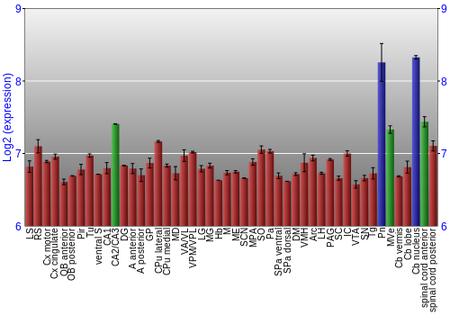 Multi-state expression graph