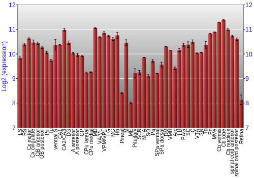 Expression graph