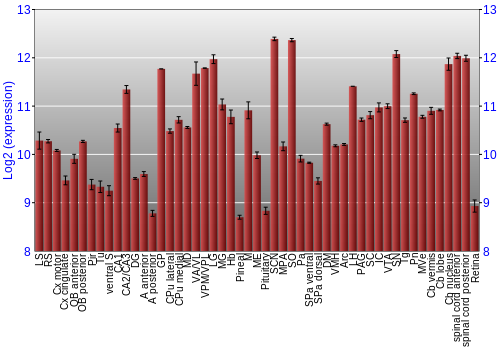 Expression graph
