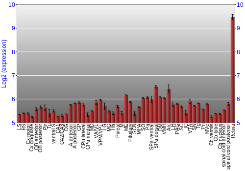 Expression graph