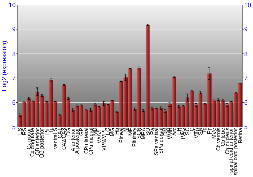 Expression graph