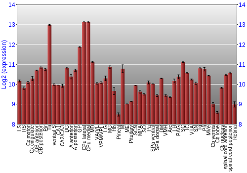Expression graph