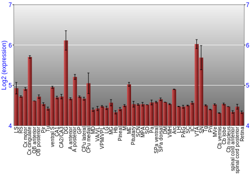 Expression graph