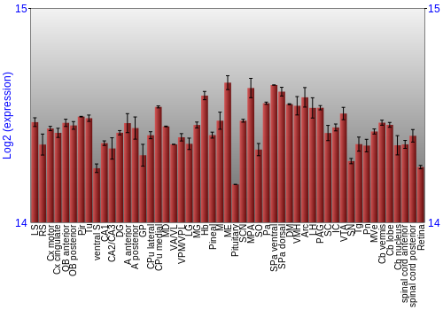 Expression graph