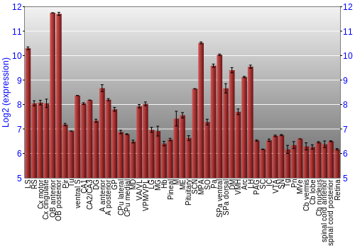 Expression graph