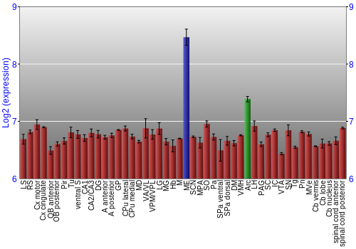 Multi-state expression graph