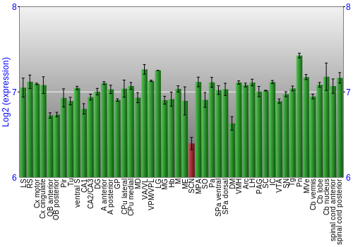 Multi-state expression graph
