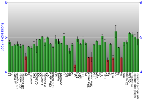 Multi-state expression graph