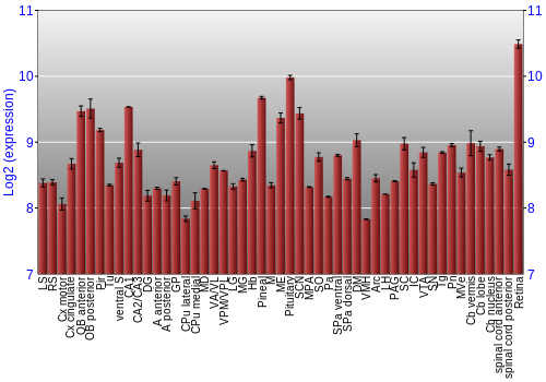 Expression graph