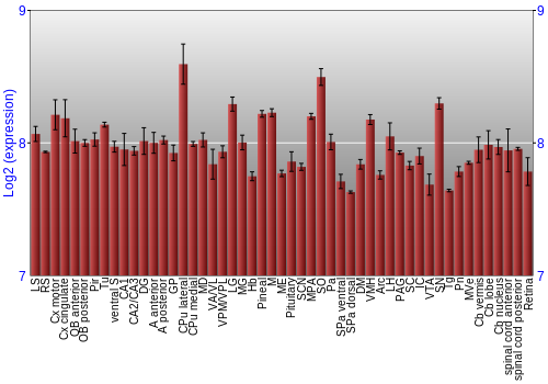 Expression graph