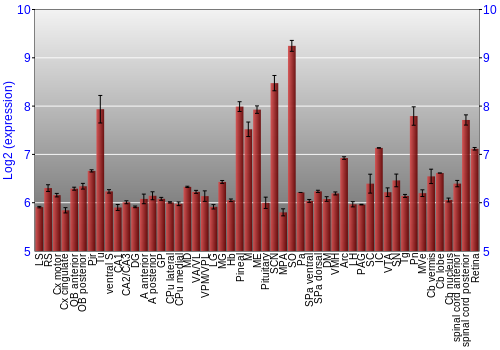 Expression graph