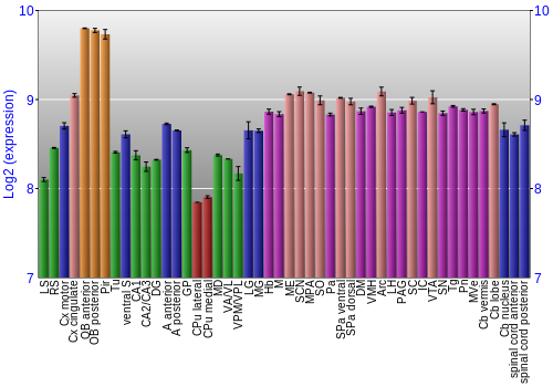 Multi-state expression graph