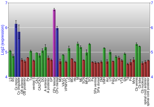 Multi-state expression graph