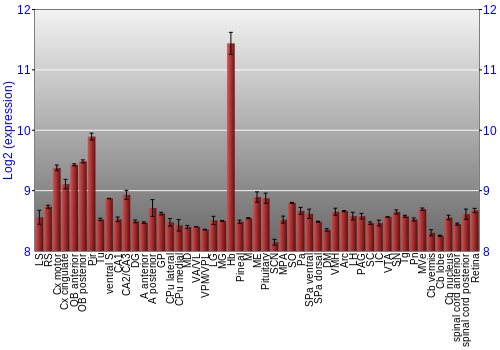 Expression graph
