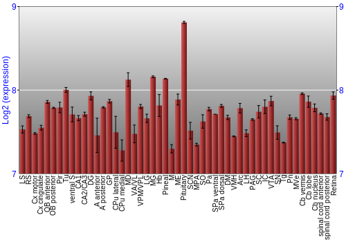 Expression graph