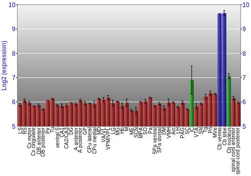 Multi-state expression graph