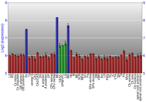 Multi-state expression graph
