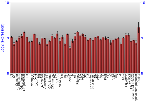 Expression graph