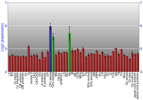 Multi-state expression graph