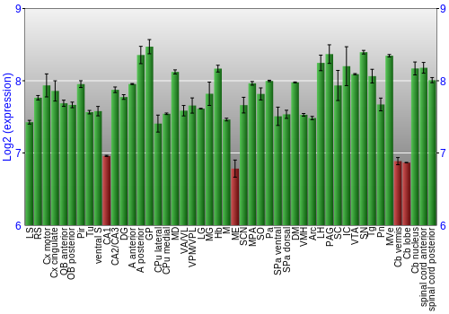 Multi-state expression graph
