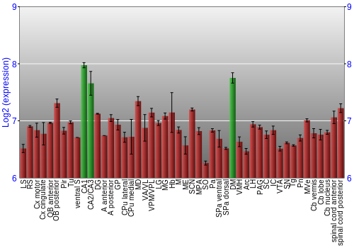 Multi-state expression graph