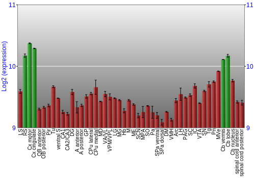 Multi-state expression graph