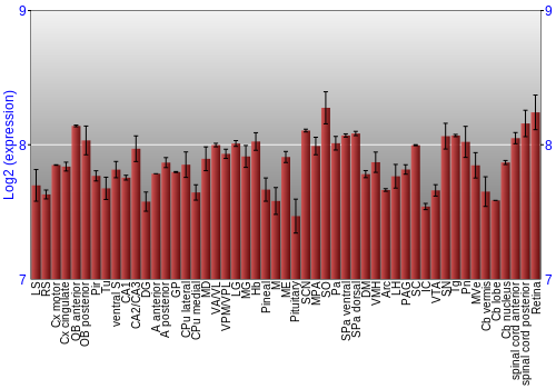 Expression graph