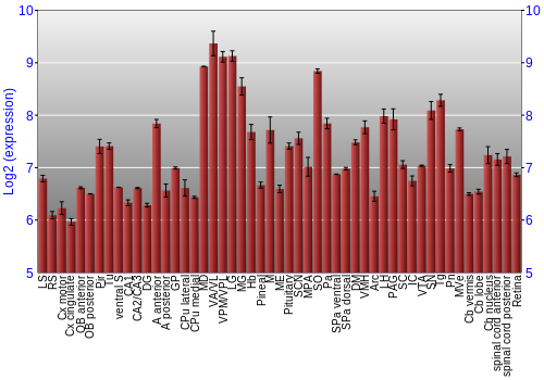 Expression graph