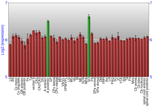 Multi-state expression graph