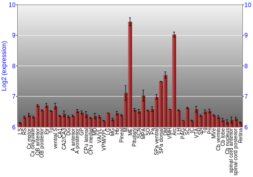Expression graph