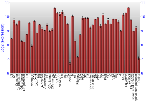 Expression graph