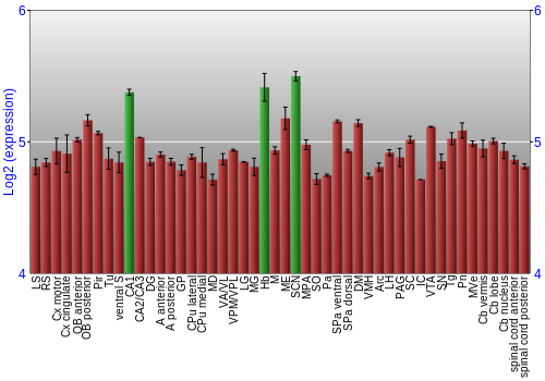 Multi-state expression graph