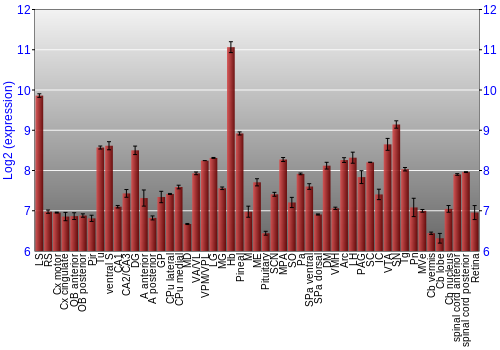 Expression graph