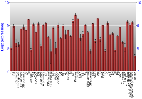 Expression graph