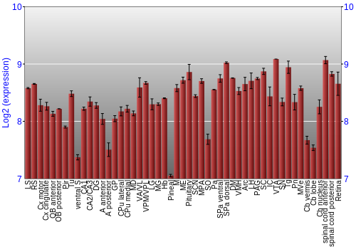 Expression graph