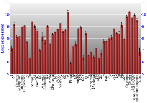 Expression graph