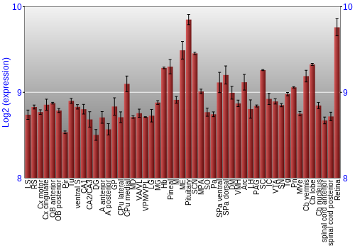 Expression graph
