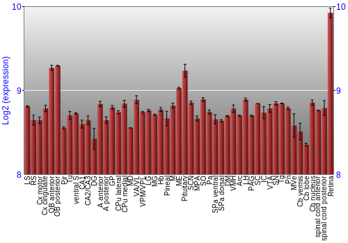 Expression graph