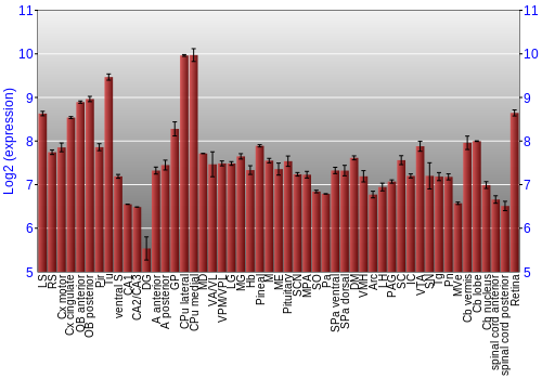 Expression graph