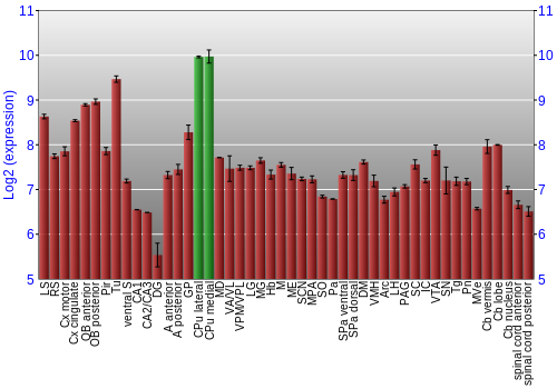 Multi-state expression graph