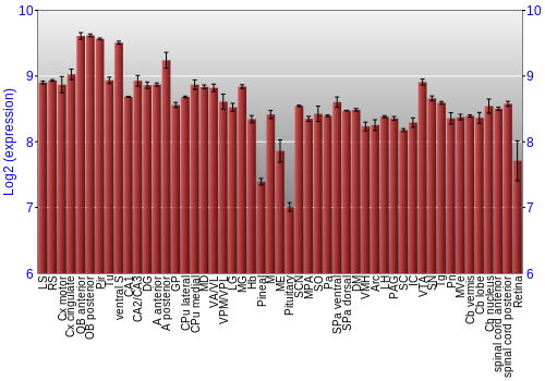 Expression graph