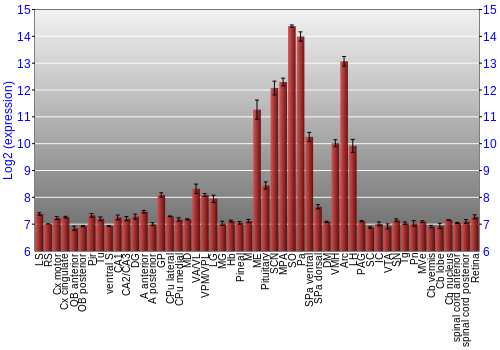 Expression graph