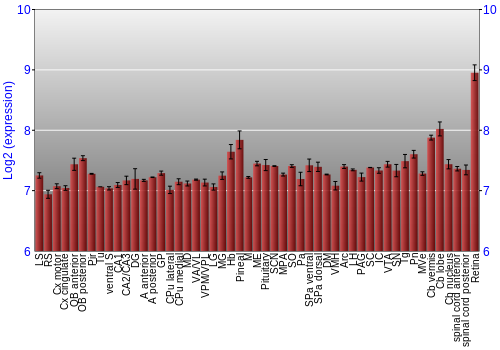Expression graph