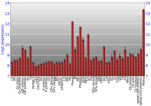 Expression graph
