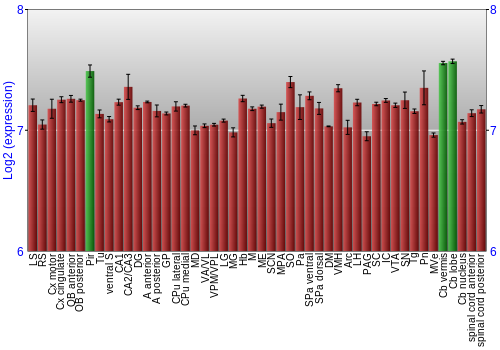 Multi-state expression graph