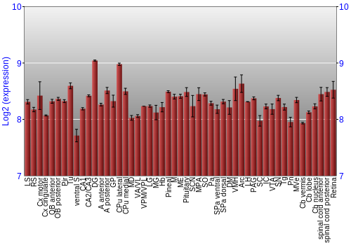 Expression graph