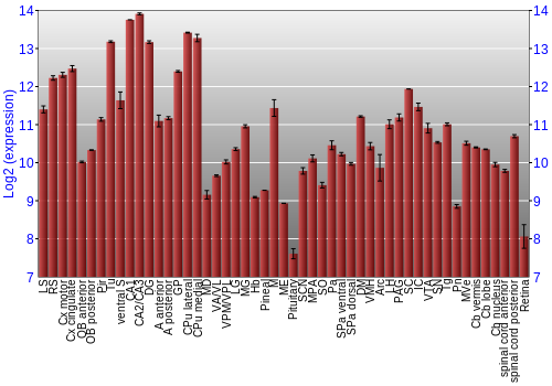 Expression graph
